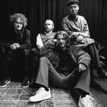 Dungen (SE)