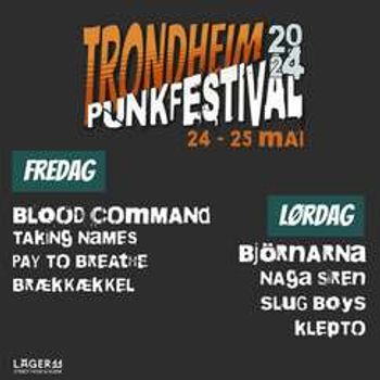 Trondheim Punkfestival 2024