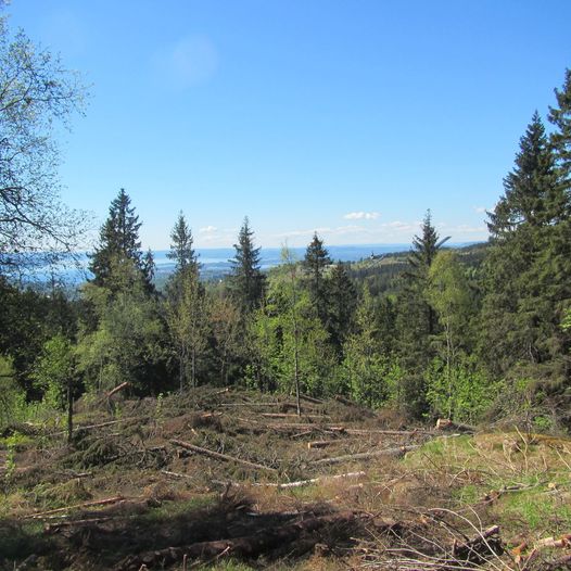 Nærtopptur i Nordmarka - holdeplasstur Oslo