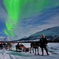 Nordlys og reinkjøring i Tromsø