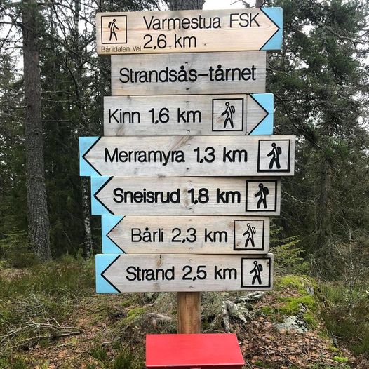 Merramyra til Strandsåstårnet