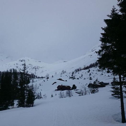 Årdal - Nes (skitur)