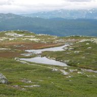 TJØNNEFJELL I FYRESDAL