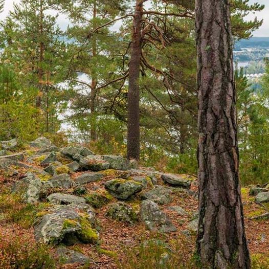 Fottur fra Mellomhammeren til Ruserud.