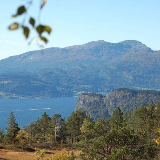 Topptur til Bjørkeveten