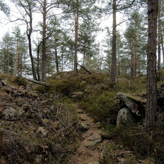Historisk tur i Herstadheia via Bygdeborgen