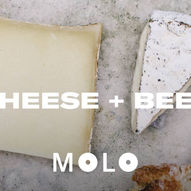 MOLO: Cheese + beer