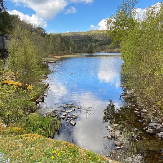 Vinddalsvatnet rundt på Søfteland