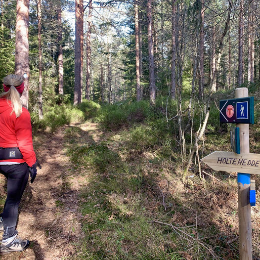 Topptur på Holtehedde - rundtur