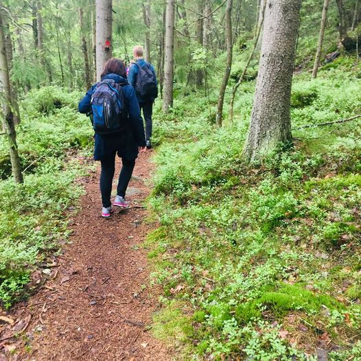 Lomtjønn via Skråstadvarden til Jegersberg (Vennesla-Kristiansand)
