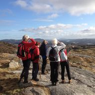 Litlaskogfjellet