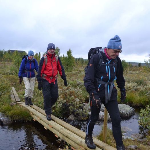 Vetafjellet - Vestfjellhytta