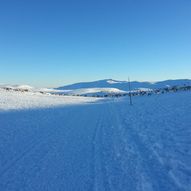 Frøysokstølan, Nystølflæi, Nystølfjellet, Dugurdstjedn S., Steinstølan Langemyre, Myklesjøen, Endefjell, Nystølen, Frøysokstølan  