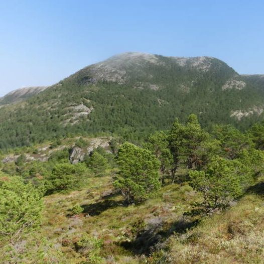 Skjeldnesfjellet