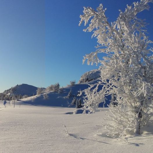 Frøysokstølan, Holtelifjell-runden