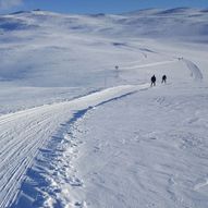 Lægeret, Steinstølan, Nystølvarden, Steinstølan, Lægeret