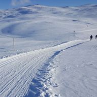 Lægeret, Steinstølan, Nystølvarden, Steinstølan, Lægeret