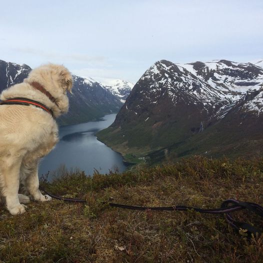 Hamnanova og Djupeskaret 