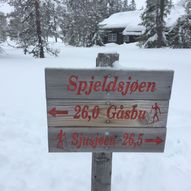 Sjusjøen-Gåsbu på ski