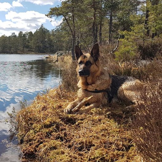 Tur til Hesttjenn i Sannidal