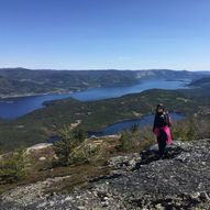 Reinstøyl - Finnroa - Myrbufjellet