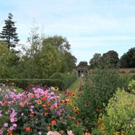 Charity Garden Opening - Amisfield Walled Garden