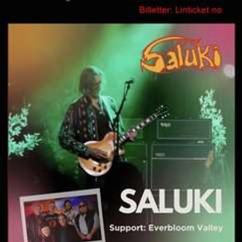 Saluki // Stopp Pressen Scene