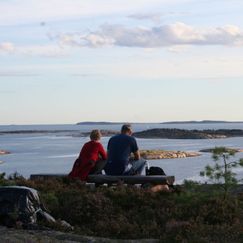 Blåsopp i Onsøy