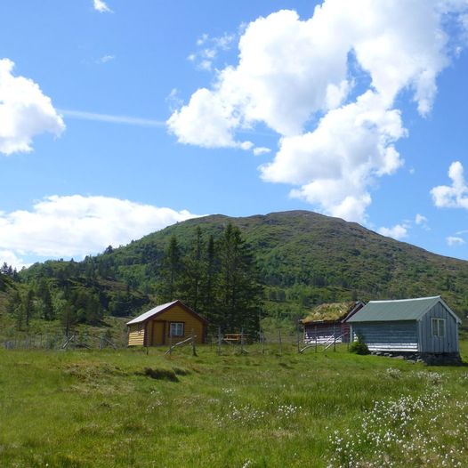 Lindviksetra i Eid kommune