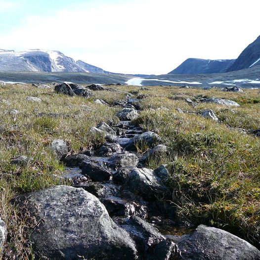 Åmotdalshytta til Snøhetta 2286 moh.