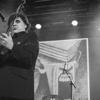 The Chameleons