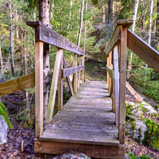 Langs Glomma fra Nystua Skårer til Bingsfoss