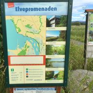 Trones - Elvepromenaden i Verdal