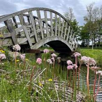 Charity Garden Opening - Burgie Arboretum
