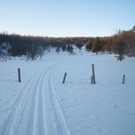 Svarthaugen 954 moh. en lett fin skitur.