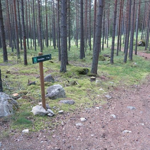 Rundturer i Tuppeskogen