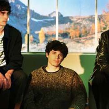 Wallows
