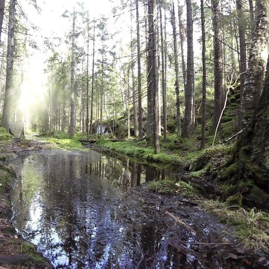 Sørmarka og Østmarka