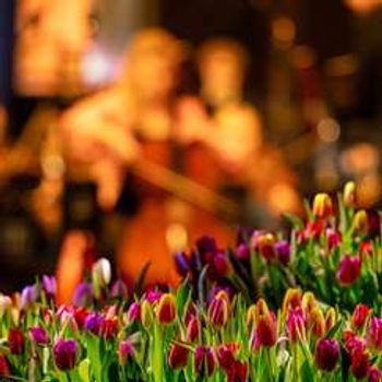 Ukeslutt med Bjørn og gjester