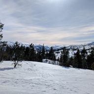 Furuåsen på ski