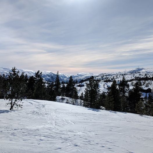 Furuåsen på ski
