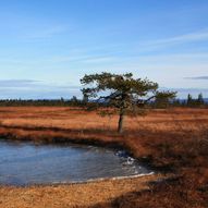 Klekkefjellet 