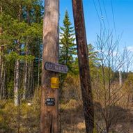 Skogstur fra Asakmoen til Hauglifjellet, Barnefoten og Stordalen