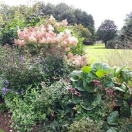 Charity Garden Opening - Kings Grange House