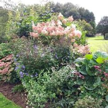 Charity Garden Opening - Kings Grange House