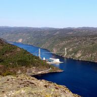 Dyreknuten rundtur fra Sande på Feda