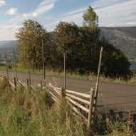 Flott skogstur rundt Jutulstad