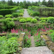 Charity Garden Opening - Geilston Garden