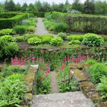 Charity Garden Opening - Geilston Garden