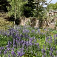 Charity Garden Opening - Gifford Bank